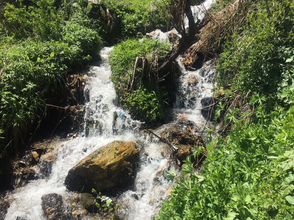 Photo of Trek to Pangarchulla 14/49 by Paromita Dutta
