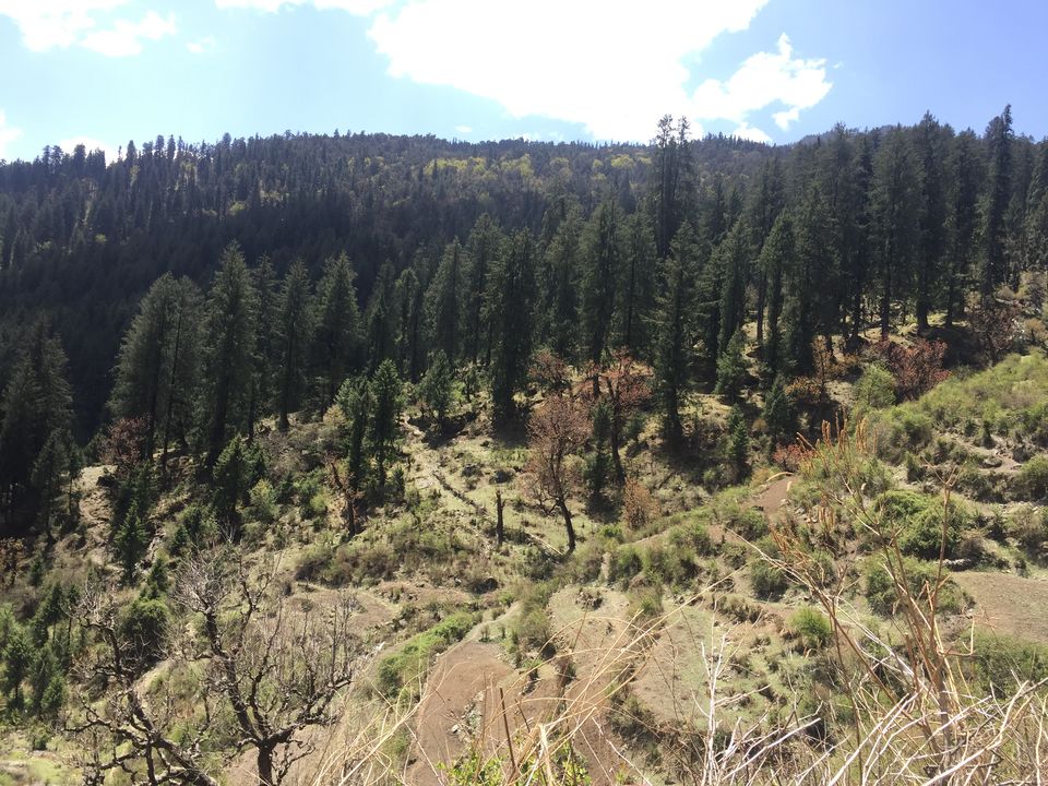 Photo of Trek to Pangarchulla 16/49 by Paromita Dutta