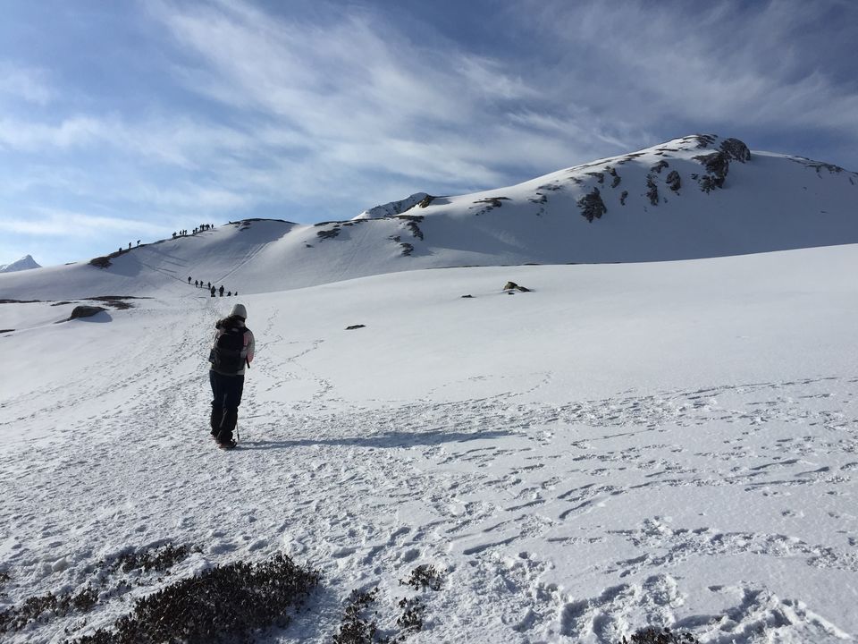 Photo of Trek to Pangarchulla 34/49 by Paromita Dutta