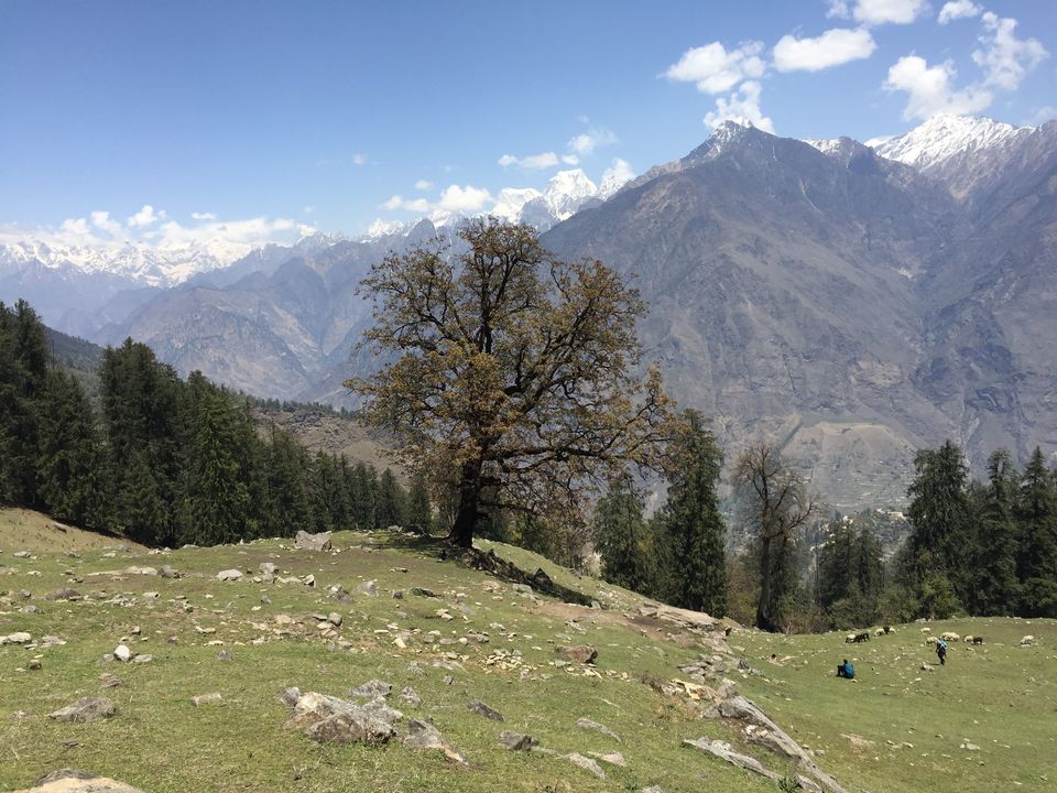 Photo of Trek to Pangarchulla 42/49 by Paromita Dutta