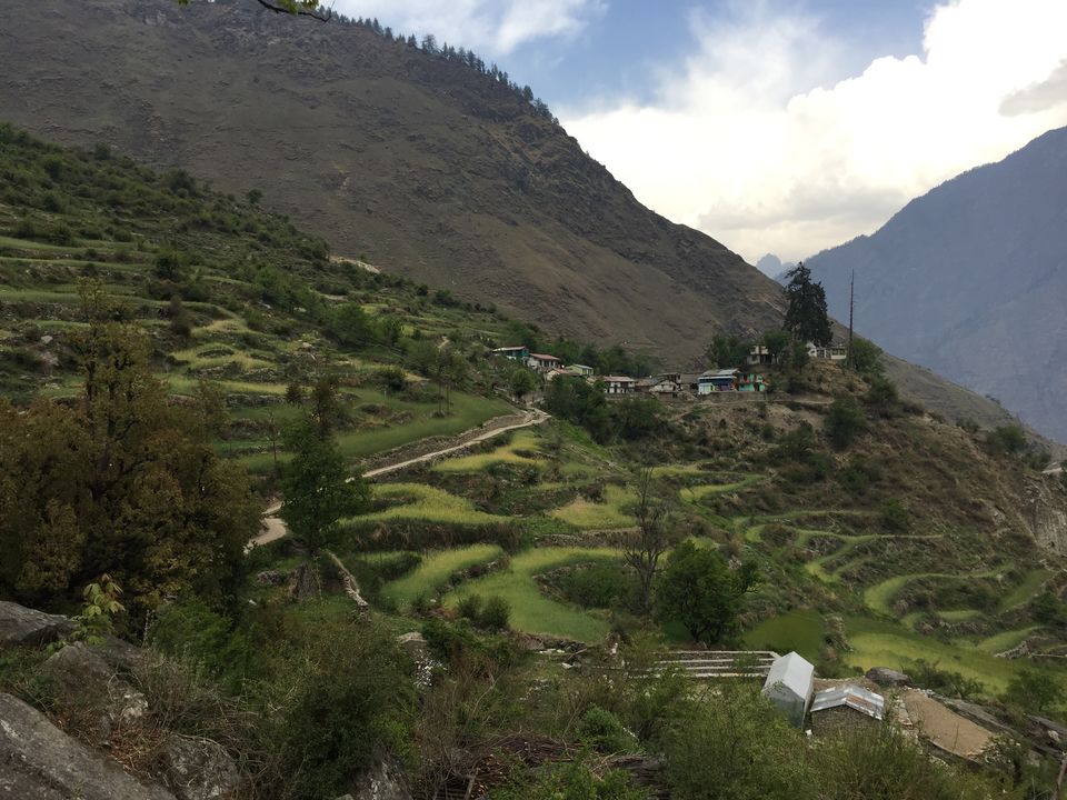 Photo of Trek to Pangarchulla 45/49 by Paromita Dutta