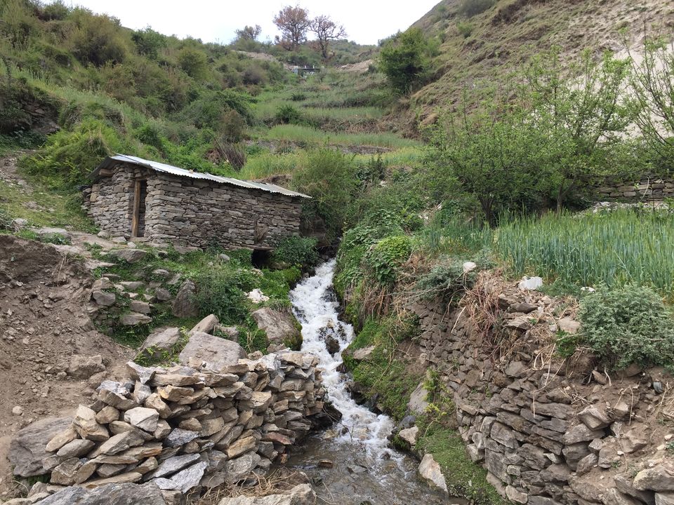 Photo of Trek to Pangarchulla 48/49 by Paromita Dutta