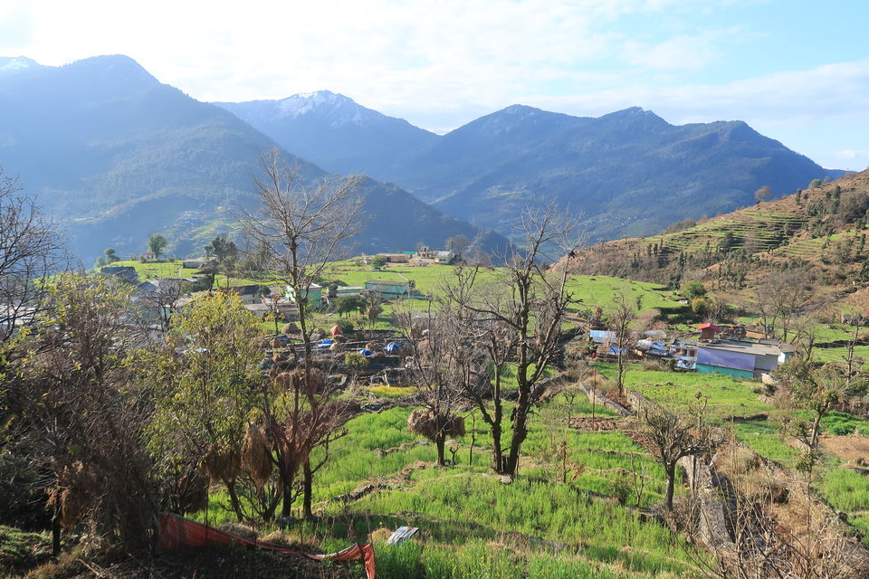 Photo of Chopta Chandrashila Deoriatal Trek 7/70 by Paromita Dutta
