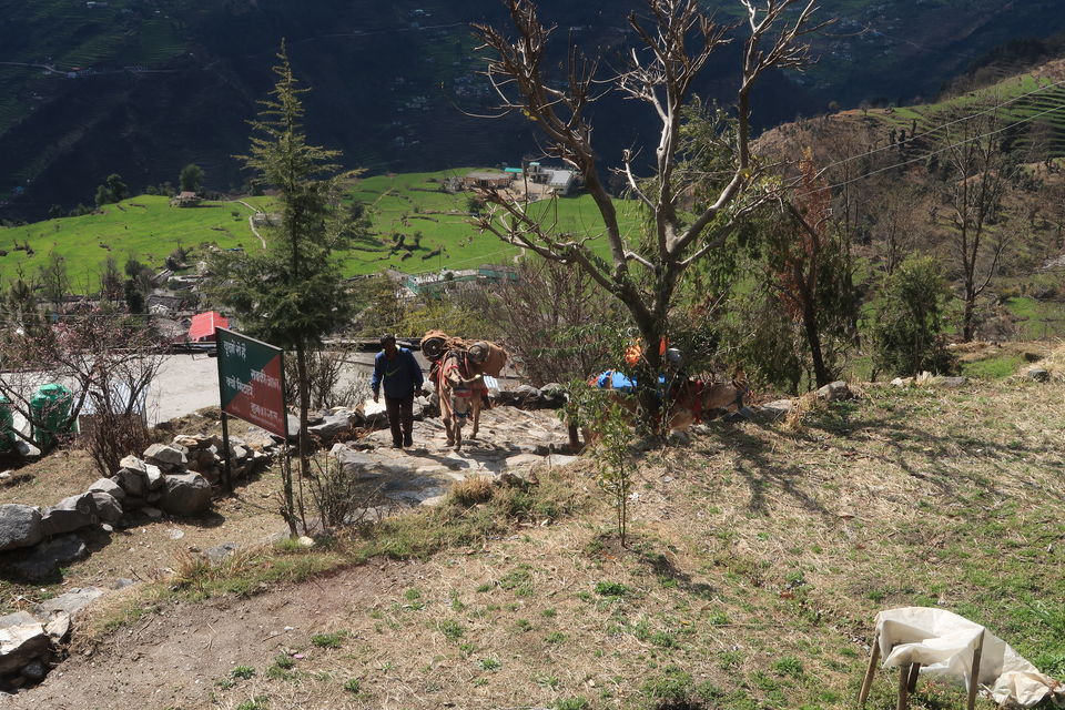 Photo of Chopta Chandrashila Deoriatal Trek 13/70 by Paromita Dutta