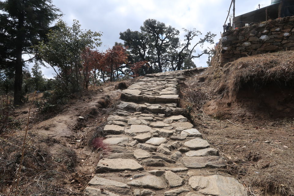 Photo of Chopta Chandrashila Deoriatal Trek 16/70 by Paromita Dutta