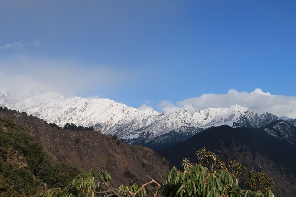 Photo of Chopta Chandrashila Deoriatal Trek 22/70 by Paromita Dutta