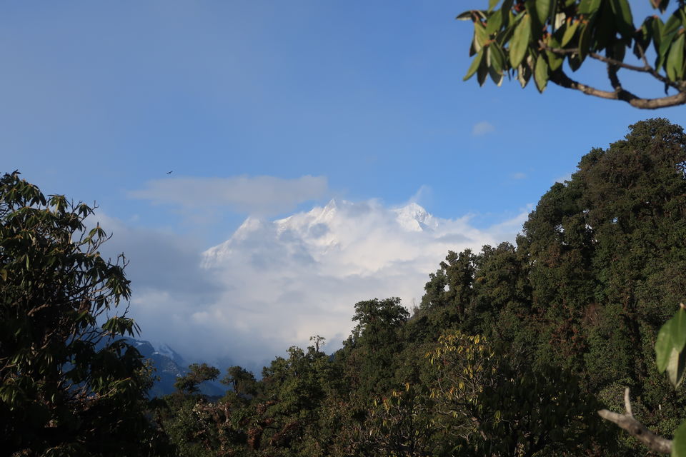 Photo of Chopta Chandrashila Deoriatal Trek 25/70 by Paromita Dutta