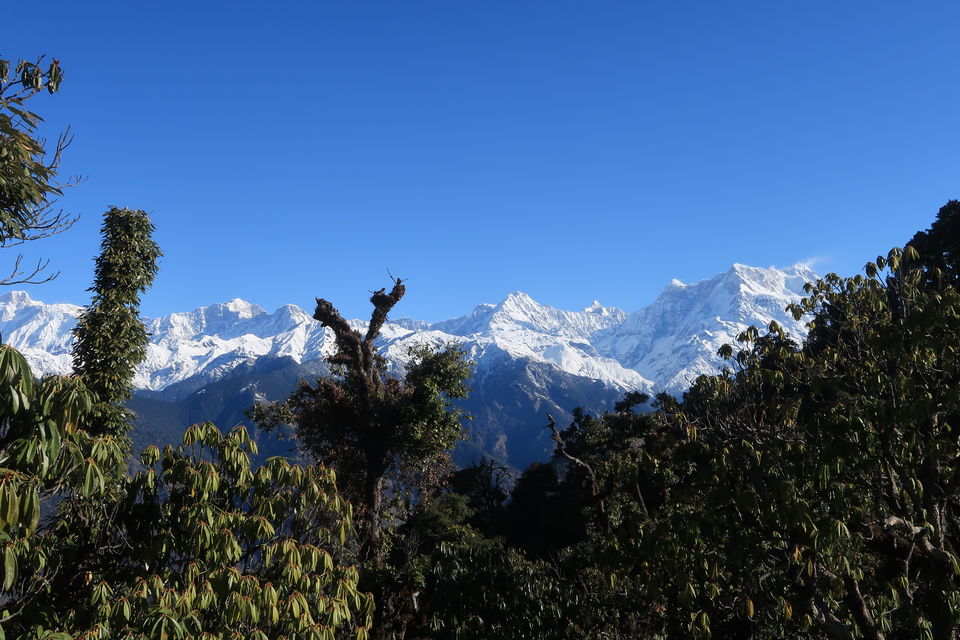 Photo of Chopta Chandrashila Deoriatal Trek 33/70 by Paromita Dutta