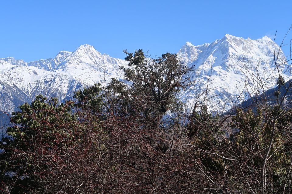 Photo of Chopta Chandrashila Deoriatal Trek 34/70 by Paromita Dutta