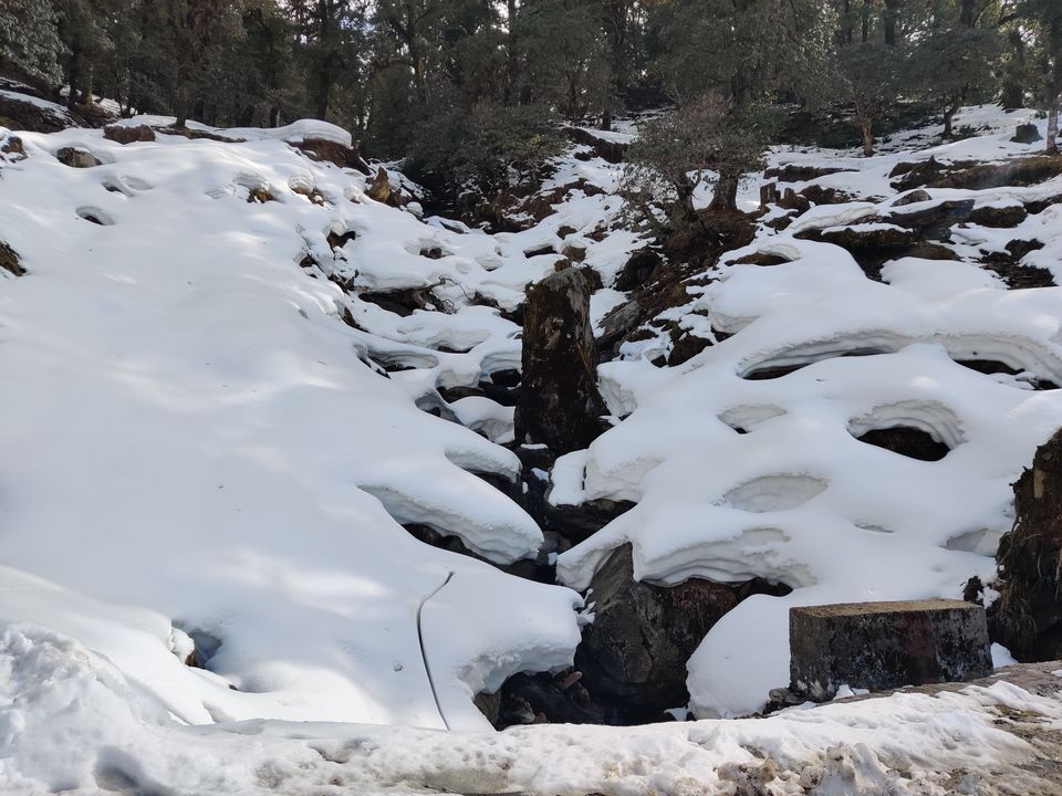 Photo of Chopta Chandrashila Deoriatal Trek 41/70 by Paromita Dutta