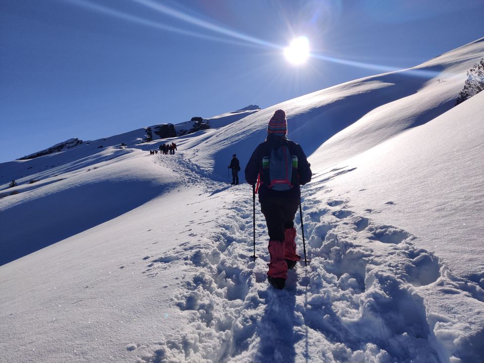 Photo of Chopta Chandrashila Deoriatal Trek 45/70 by Paromita Dutta
