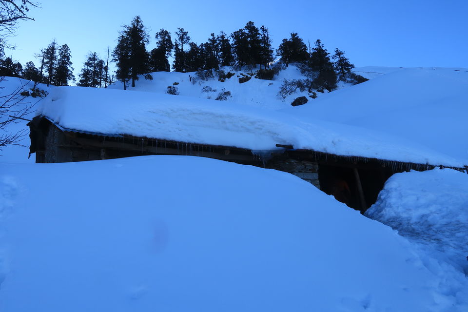 Photo of Chopta Chandrashila Deoriatal Trek 46/70 by Paromita Dutta