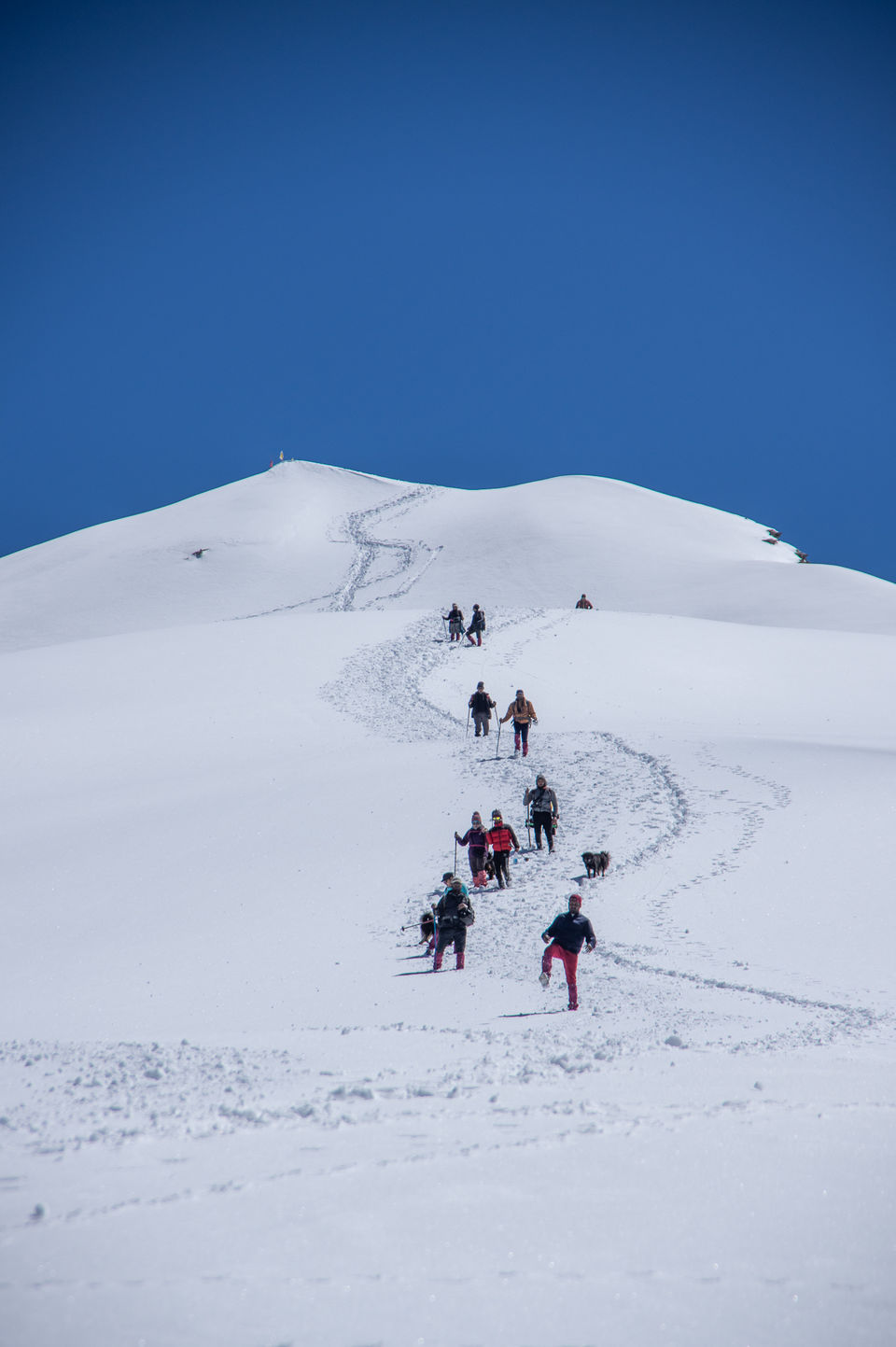 Photo of Chopta Chandrashila Deoriatal Trek 61/70 by Paromita Dutta