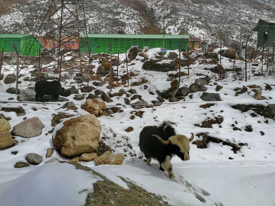 Photo of Solo Trip To West Arunachal by Prasenjeet Sadhu