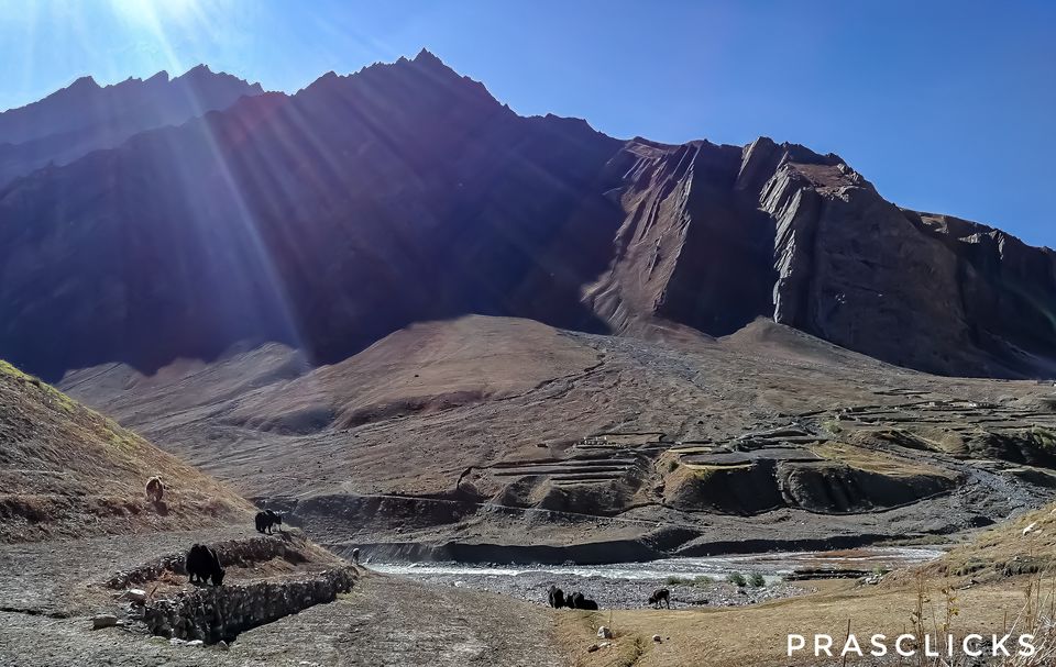Photo of Mud, Himachal Pradesh, India by Prasenjeet Sadhu
