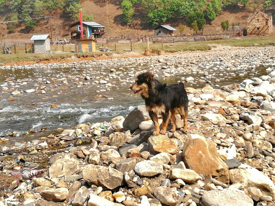 Photo of Dirang by Prasenjeet Sadhu