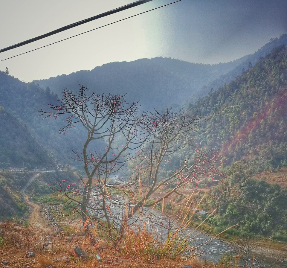 Photo of Solo Trip To West Arunachal by Prasenjeet Sadhu
