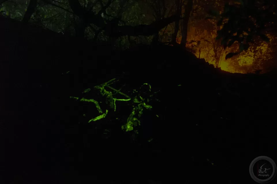 Photo of Amboli, Maharashtra, India by Saurav Bakshi