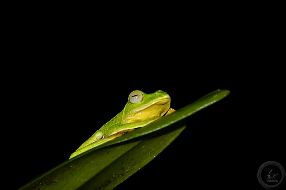 Photo of Amboli, Maharashtra, India by Saurav Bakshi