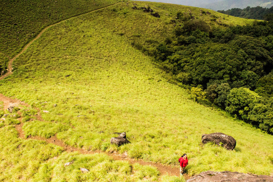 Photo of Ranipuram -Trek the uncharted hills of the western ghats . by TripMalabar Travels