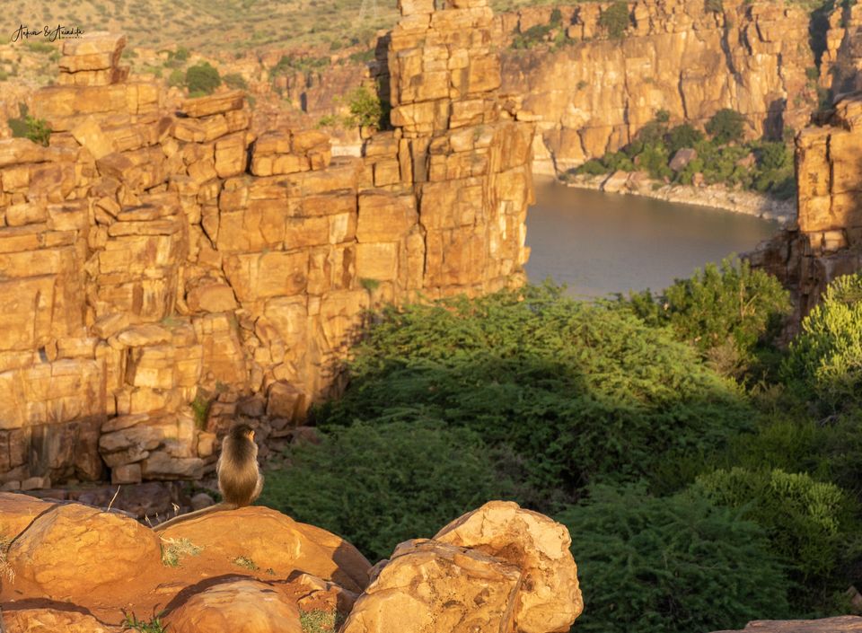 Photo of Gandikota, Kadapa by Anindita Chakrabarty