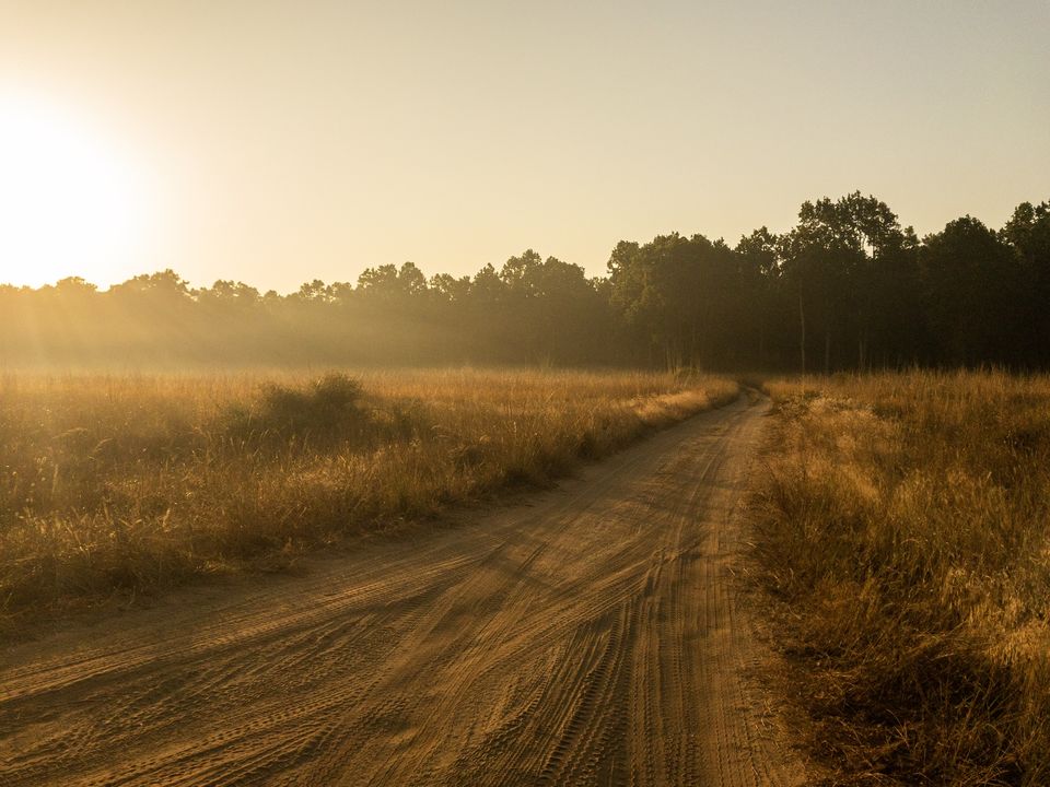 Photo of Bandhavgarh National Park, Tala by Anindita Chakrabarty