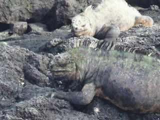 Photo of A Trip to Ecuador 23/25 by Joanne