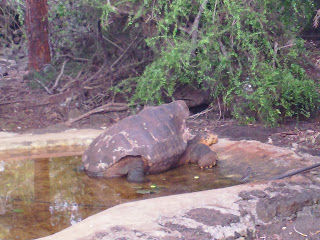 Photo of A Trip to Ecuador 13/25 by Joanne