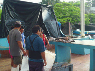 Photo of A Trip to Ecuador 22/25 by Joanne