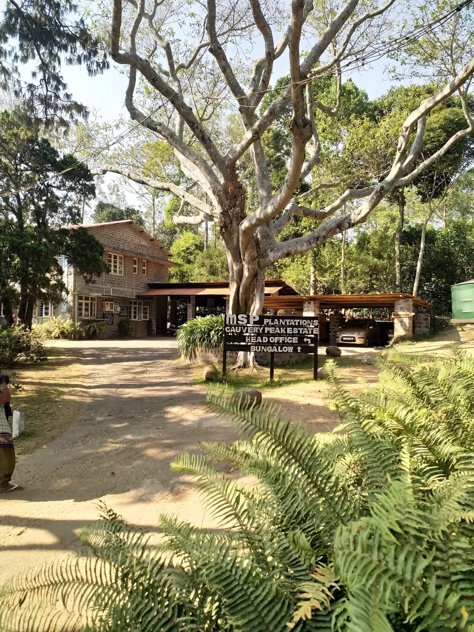 Photo of MSP Plantations Cauvery Peak Estate, Yercaud, Tamil Nadu by Hariprasad