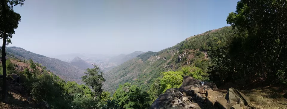 Photo of How Yercaud changes you to coffee addict by Hariprasad