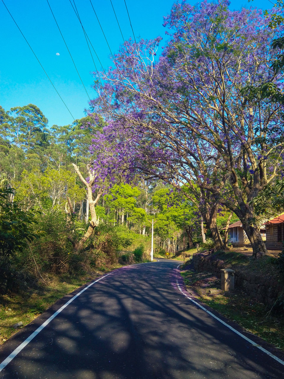 Photo of How Yercaud changes you to coffee addict by Hariprasad