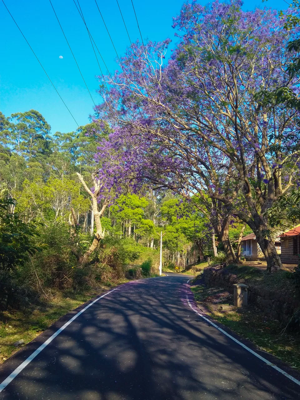 Photo of How Yercaud changes you to coffee addict by Hariprasad