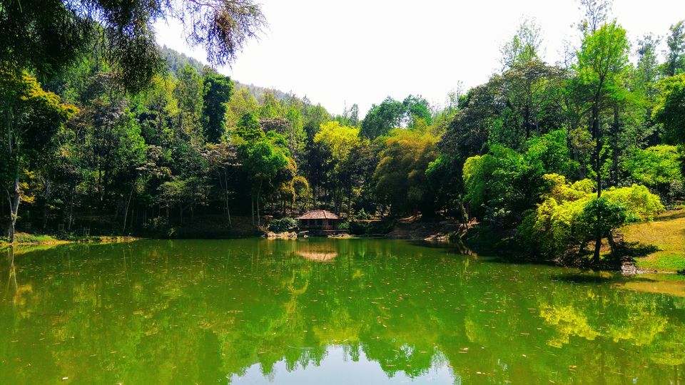 Photo of How Yercaud changes you to coffee addict by Hariprasad