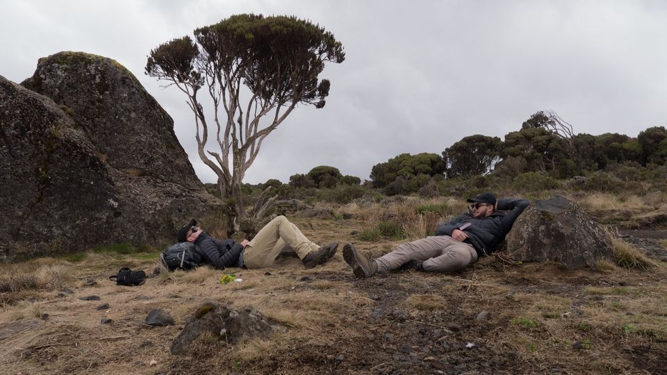 Photo of Climbing Mountain Kilimanjaro in Tanzania| Reach the Roof of Africa 5/15 by ECO-AFRICA CLIMBING