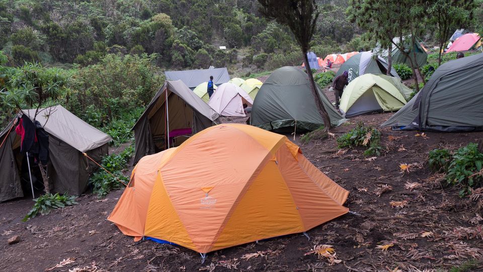 Photo of Climbing Mountain Kilimanjaro in Tanzania| Reach the Roof of Africa 1/15 by ECO-AFRICA CLIMBING