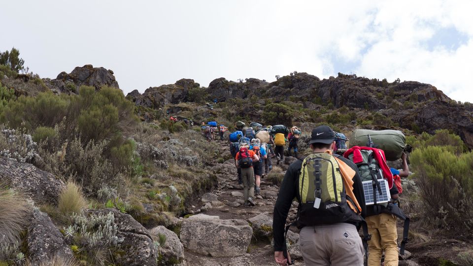 Photo of Climbing Mountain Kilimanjaro in Tanzania| Reach the Roof of Africa 3/15 by ECO-AFRICA CLIMBING