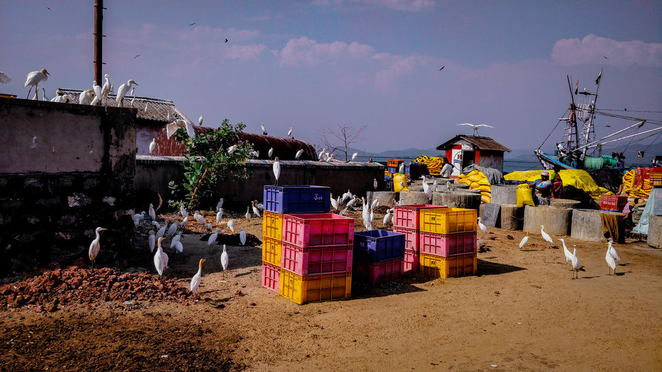 Photo of Gokarna, Karnataka, India by Nithin KT