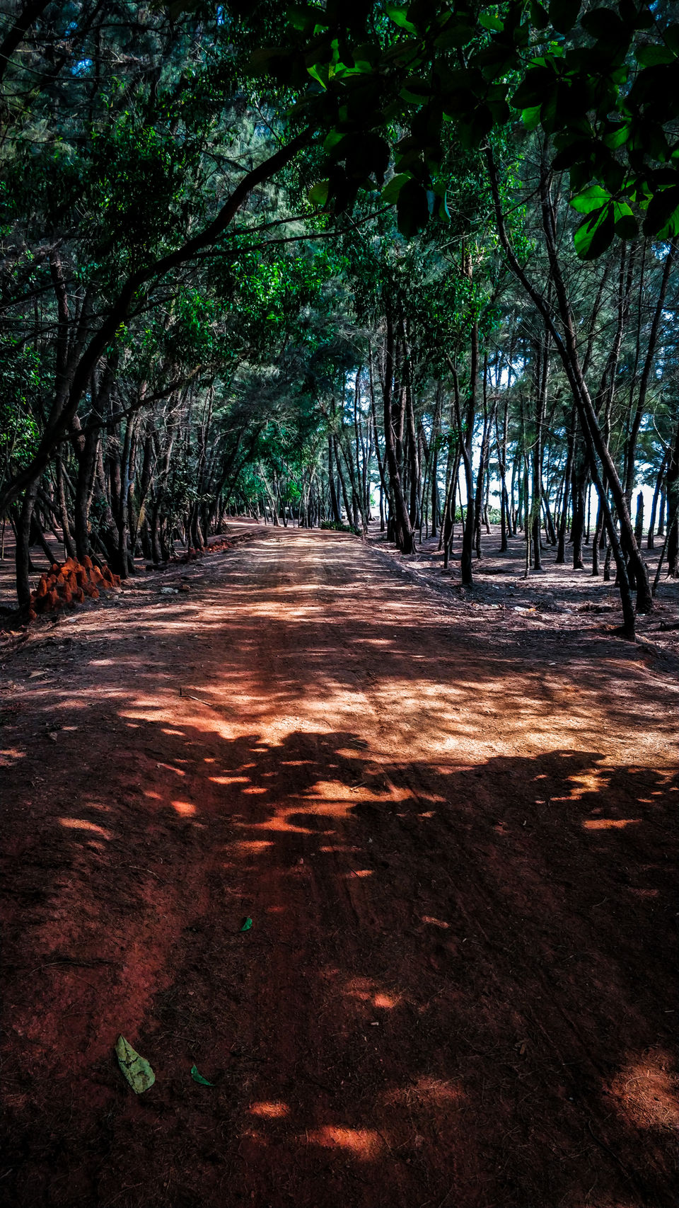 Photo of Gokarna, Karnataka, India by Nithin KT