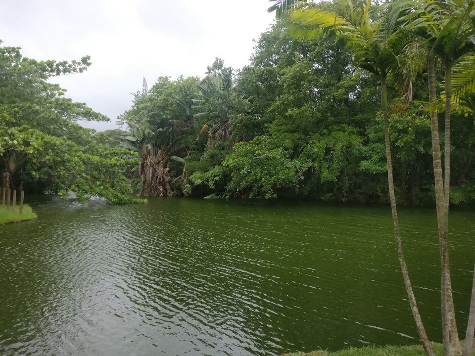 Photo of Mauritius-Paradise on earth 18/23 by Prathyusha