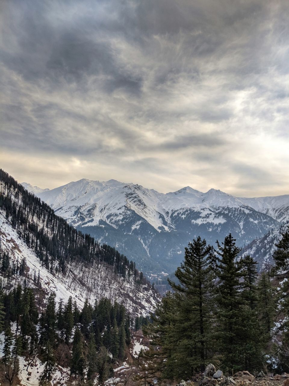 Photo of Kutla, Tosh, Himachal Pradesh, India by sainath reddy