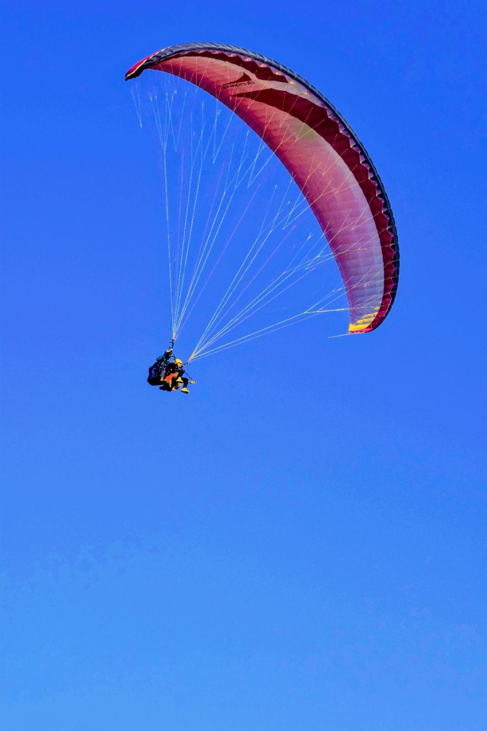 Photo of Bir Billing Paragliding, Bir, Himachal Pradesh, India by sainath reddy