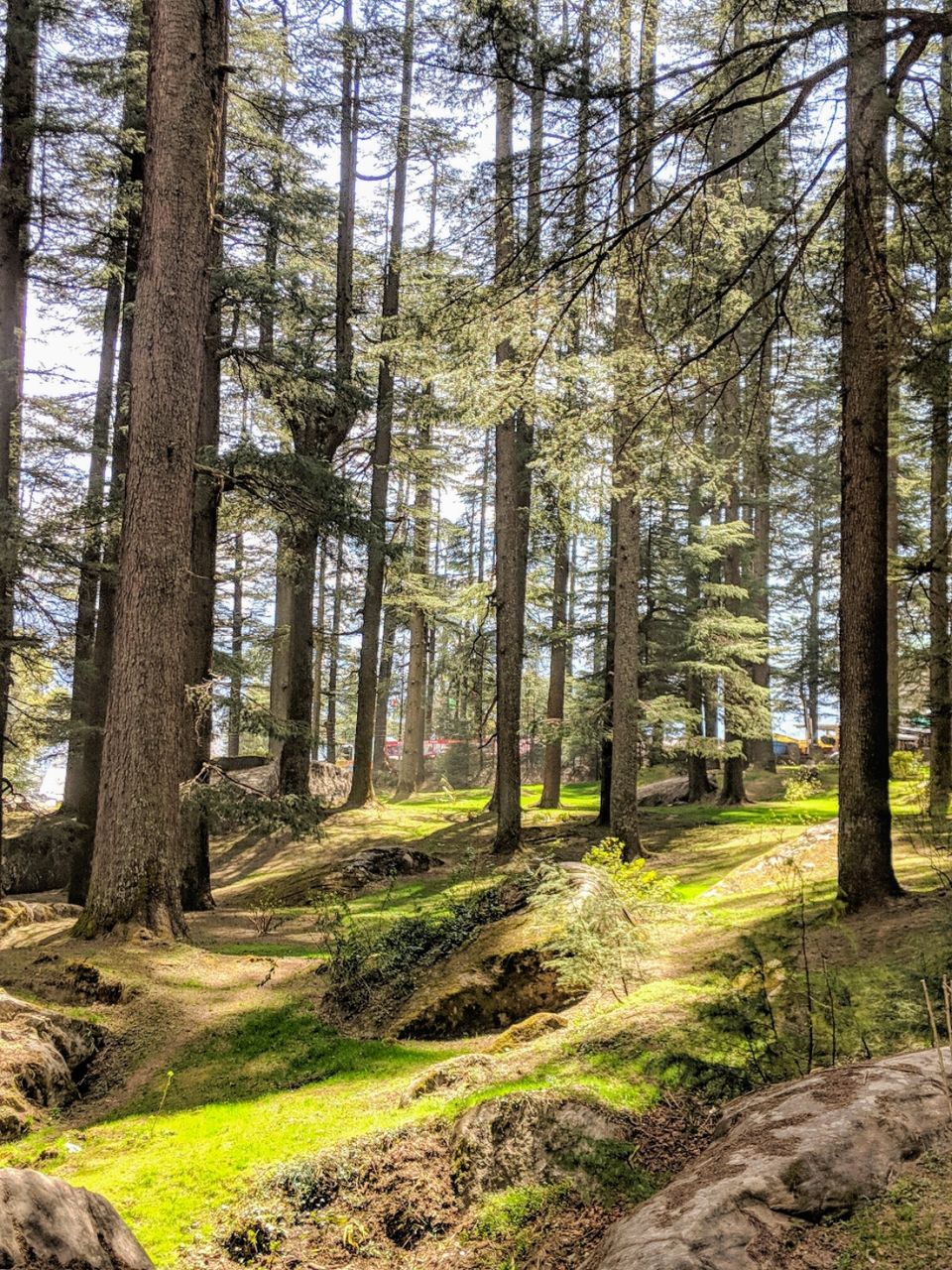 Photo of Manali, Himachal Pradesh, India by sainath reddy