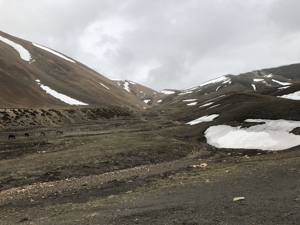 Photo of Mt Kanamo: Respect the Mountain by Gurtesh Matharu