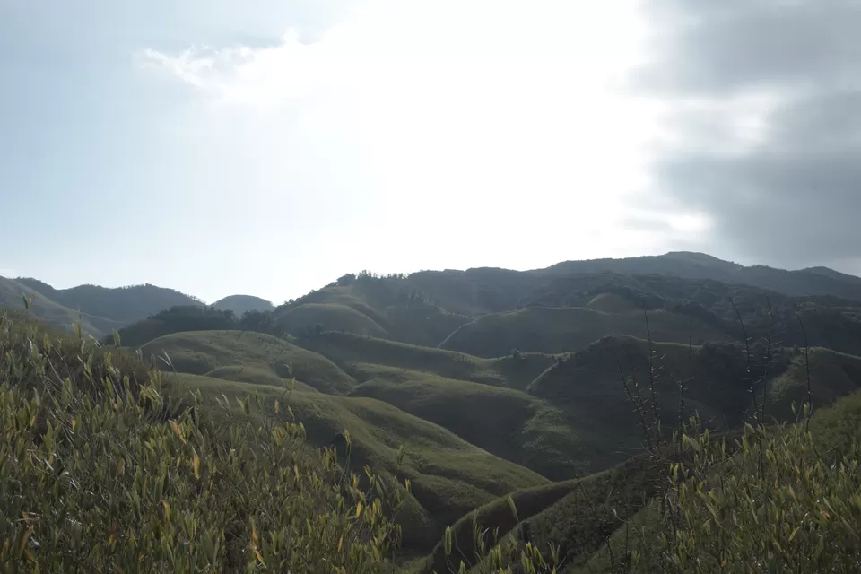 Photo of Dzükou Valley Guest House, Dzuko Valley Trail, Nagaland, India by Pramod Reddy