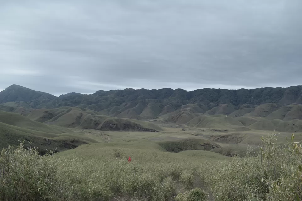 Photo of Snowfall in Enchanting Dzukou Valley by Pramod Reddy