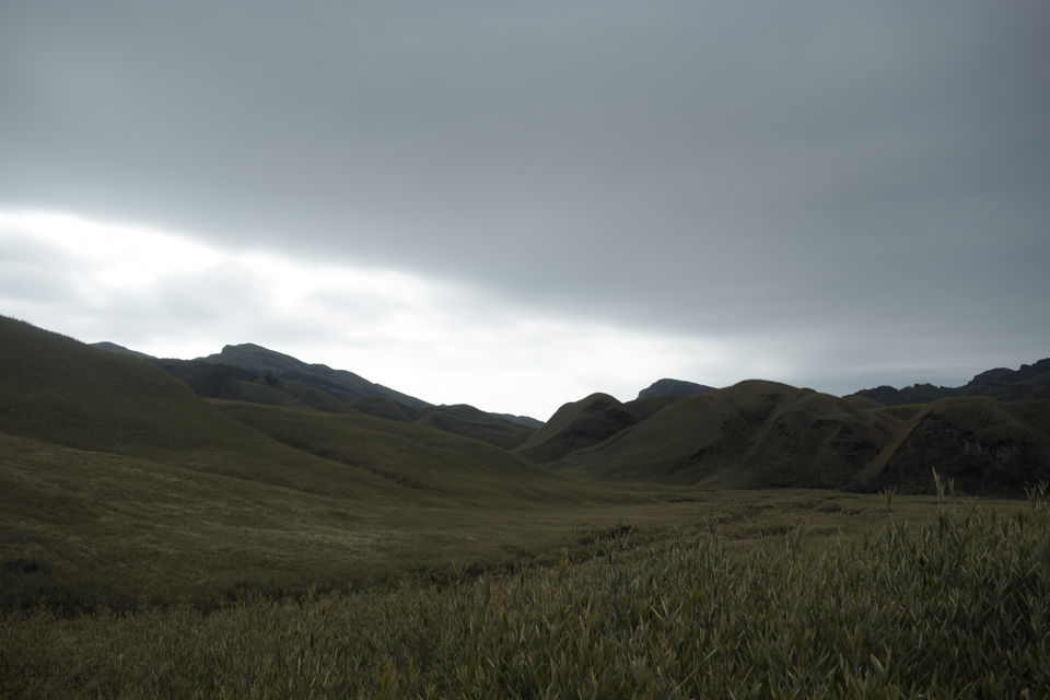 Photo of Snowfall in Enchanting Dzukou Valley by Pramod Reddy