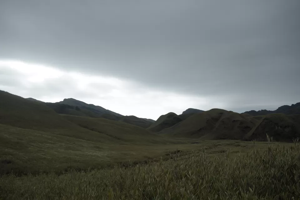 Photo of Snowfall in Enchanting Dzukou Valley by Pramod Reddy