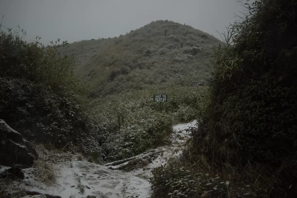 Photo of Snowfall in Enchanting Dzukou Valley by Pramod Reddy