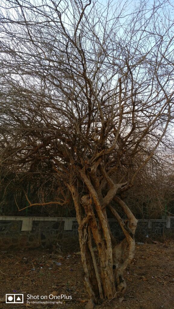 Photo of Changing face to Pune. - My Travel stories 4/7 by Rajeshwar Dayal Mathur